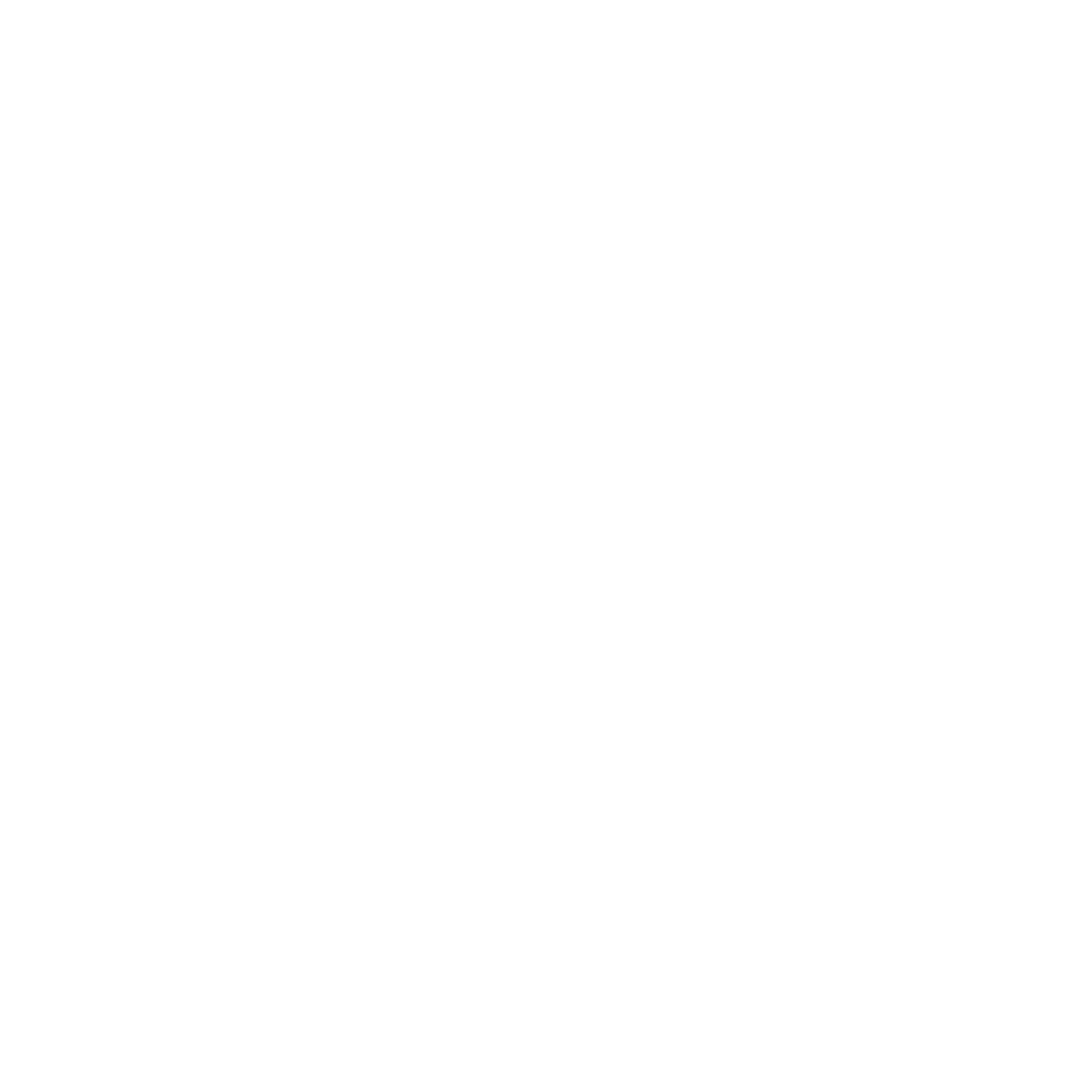 Logo_Magis_White
